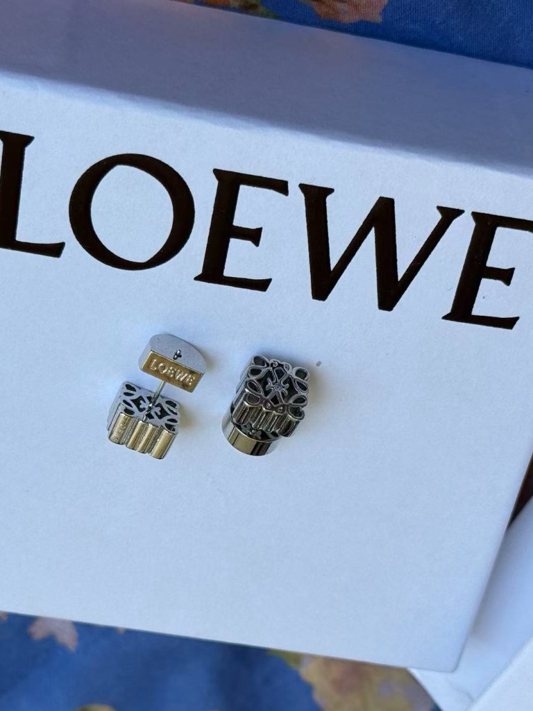 Loewe Earrings 89$